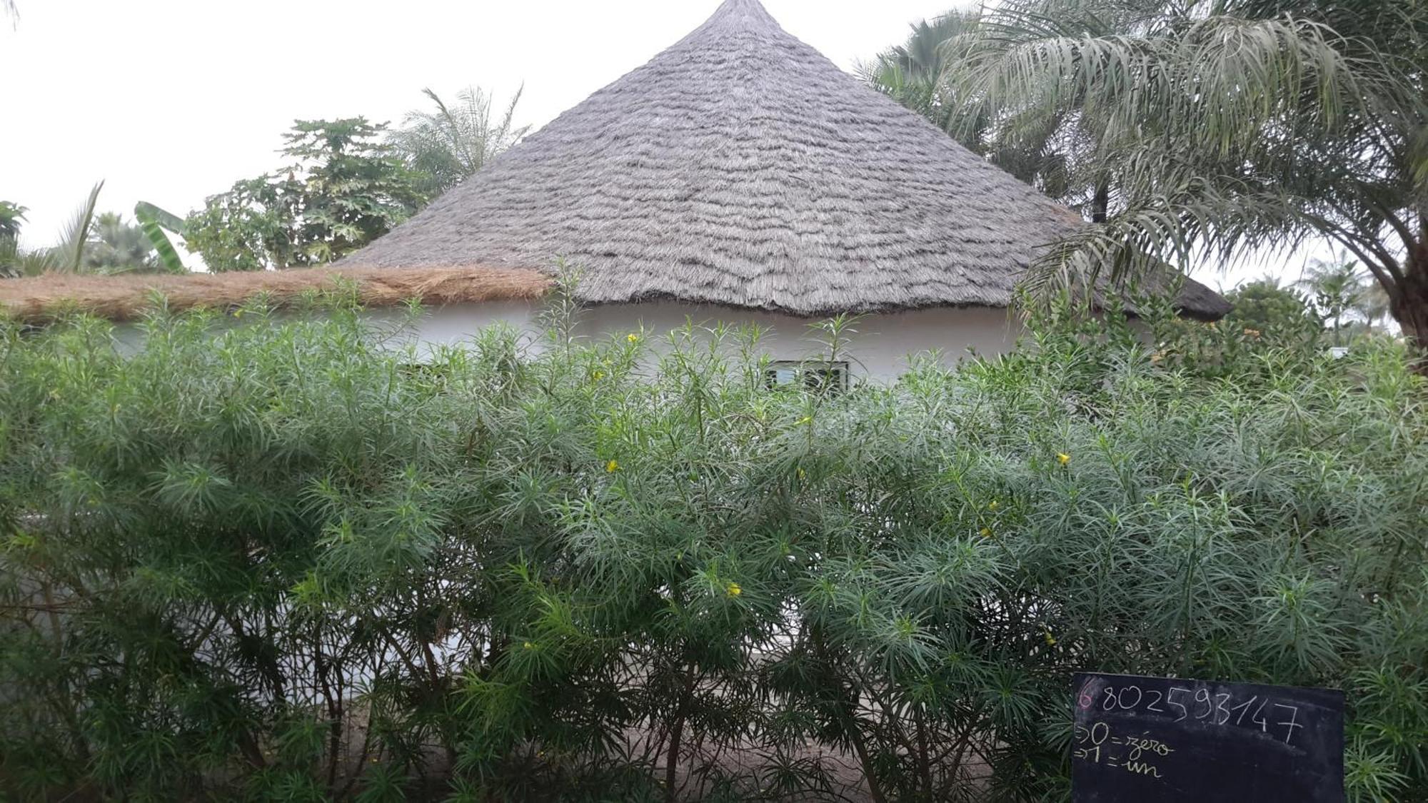 Case Traditionnelle Diola Au Bord De L'Ocean Cap Skirring Exterior photo